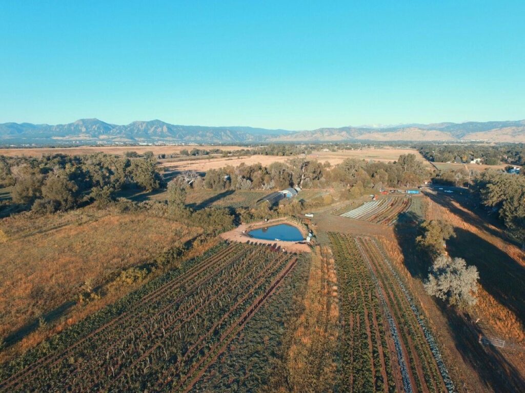 Aerial view of regenerated farmland